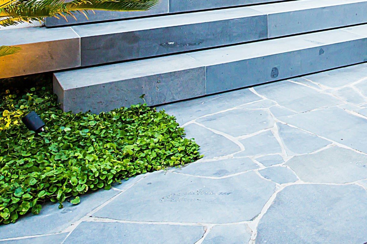 5 Crazy Ways to Use Crazy Paving on Your Property