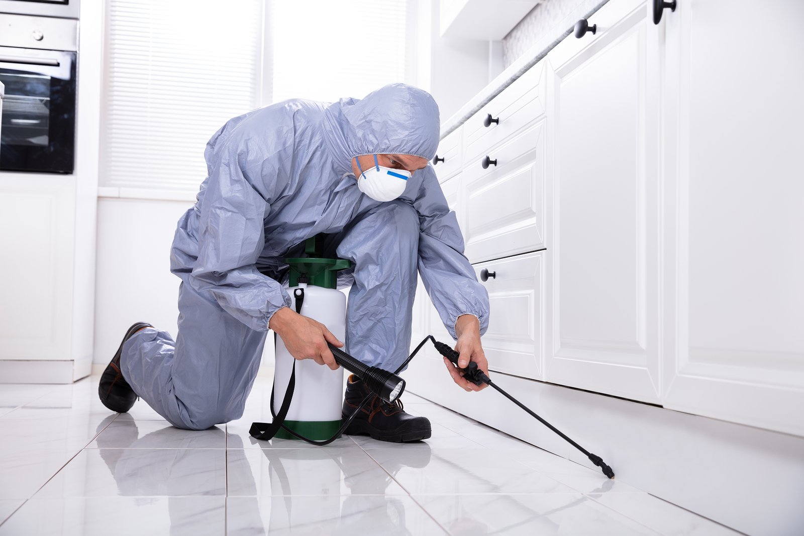 5 Reasons to Schedule Regular Pest Inspection for Your Home