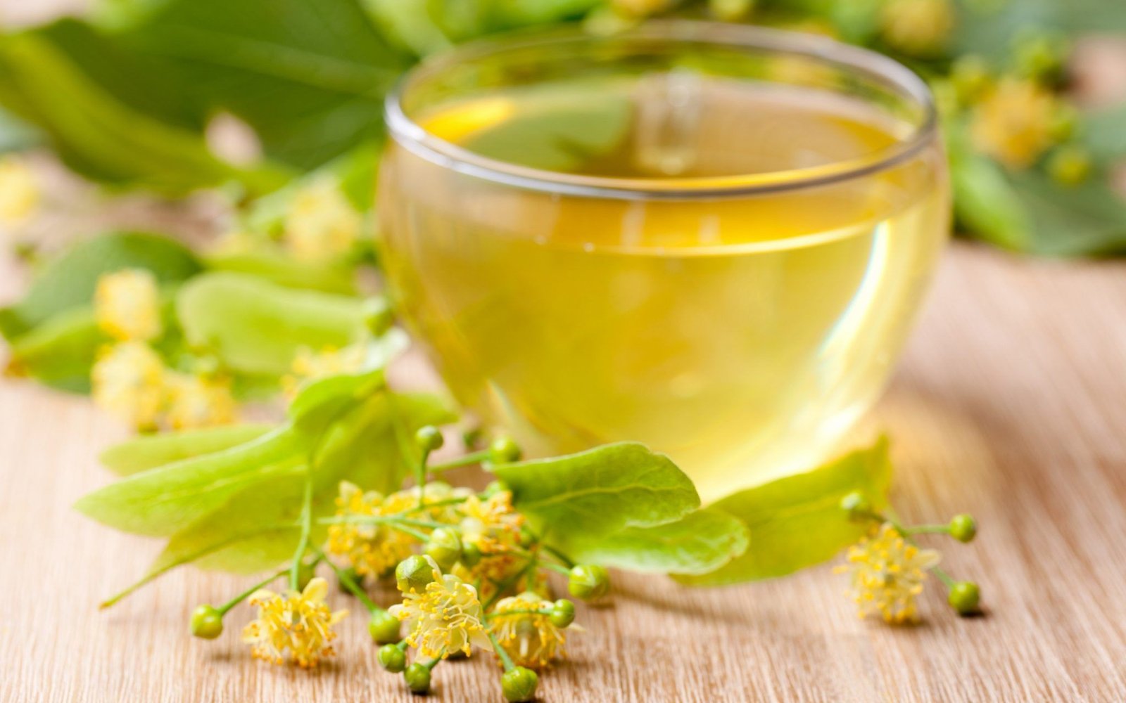 Does Organic Green Tea Contain Caffeine? Know From Us